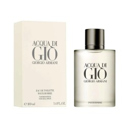 Giorgio Armani Acqua Di Gio Edt 100 ml Erkek Parfum