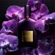 Tom Ford Velvet Orchid Edp 100 Kadin Parfum